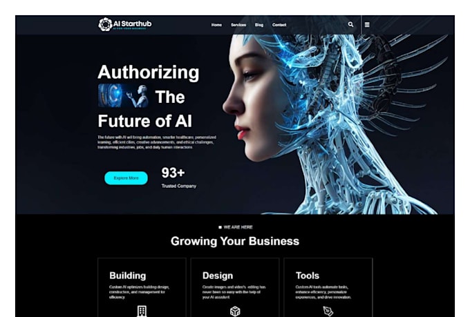 build design redesign develop clone wordpress website and landing page design